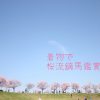 【着物組・青森支部イベント】4/21(土)着物で桜流鏑馬鑑賞会